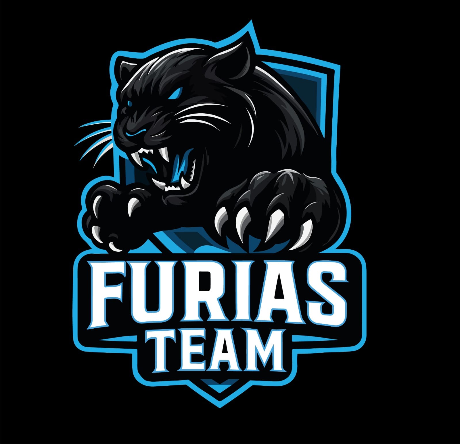 FURIAS TEAM 