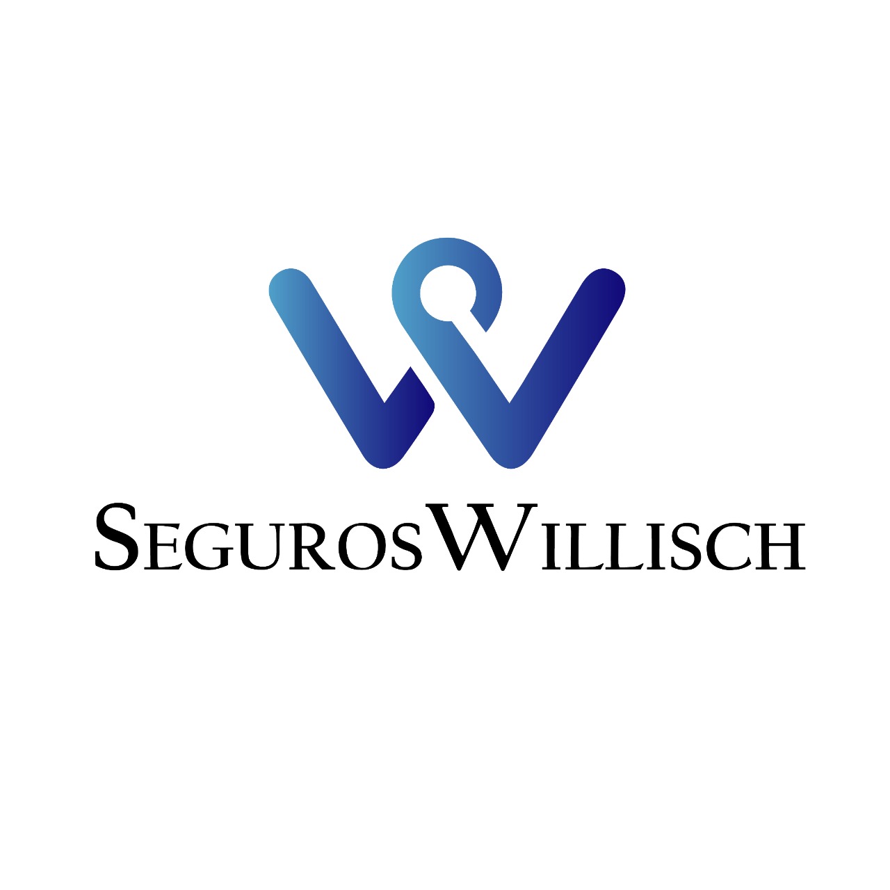 Seguros willisch ltda